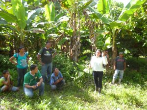 Imagem da notícia - 5 de junho: Dia Mundial do Meio Ambiente