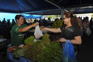 Imagem da notícia - Governo do Amazonas inaugura mais uma feira de produtos regionais neste sábado (2/8)