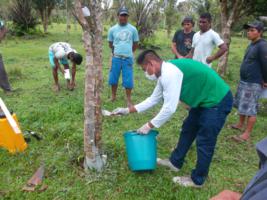 Imagem da notícia - Ações de ATER beneficiam pequenos produtores em Alvarães