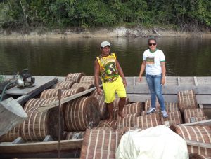 Imagem da notícia - Políticas de incentivo ao setor extrativista visam melhorar a cadeia produtiva da piaçava