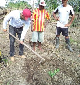 Imagem da notícia - Agricultores de Benjamin Constant recebem assistência técnica para fortalecer o plantio de culturas agrícolas