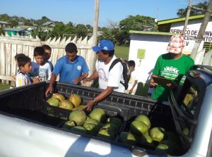 Imagem da notícia - Produtos adquiridos pelo PAA beneficiam entidades socioassistenciais em Benjamin Constant