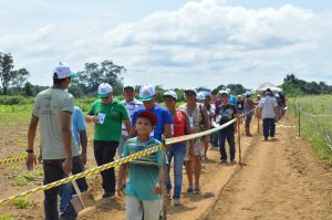 Imagem da notícia - Agricultores participam de Dia de Campo sobre a cultura da mandioca em Rio Preto da Eva