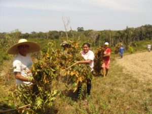 Imagem da notícia - Curso de produção orgânica reúne agricultores em Rio Preto da Eva