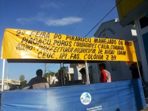 Imagem da notícia - Pescadores realizam a II Feira do Pirarucu Manejado em Anori