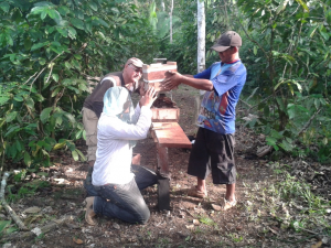Imagem da notícia - Agricultores investem na criação de abelhas em Benjamin Constant