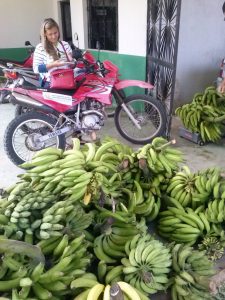 Imagem da notícia - Programa de Aquisição de Alimentos estimula produção agrícola em Benjamin Constant