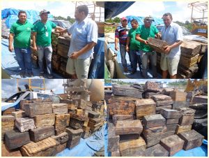 Imagem da notícia - Governo do Amazonas incentiva produção de borracha em Pauini