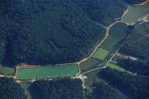 Imagem da notícia - Governo do Amazonas realiza Mutirão de Regularização Ambiental e Fundiária