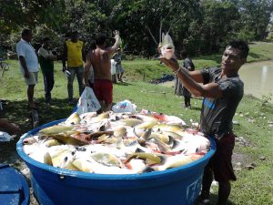 Imagem da notícia - Assistência técnica pretende aumentar criação de peixes em Novo Aripuanã