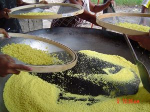 Imagem da notícia - IDAM realiza ações de ATER no município de Lábrea