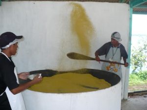 Imagem da notícia - Agricultores familiares serão beneficiados com curso de melhoramento da farinha em Pauini
