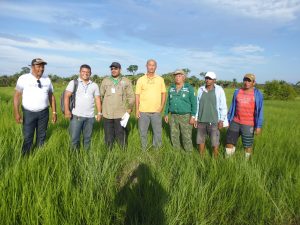 Imagem da notícia - IDAM incentiva a atividade de piscicultura em Barreirinha
