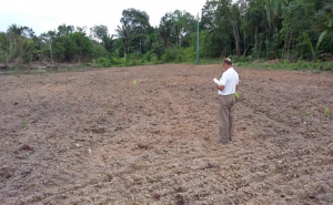 Imagem da notícia - Governo do Amazonas investe em mecanização agrícola para aumentar produção agropecuária no Estado
