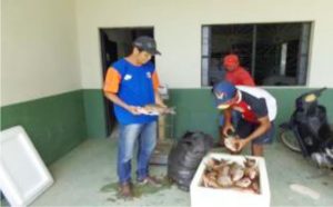 Imagem da notícia - Programa de Aquisição de Alimentos fortalece piscicultura em Benjamin Constant