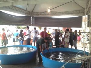 Imagem da notícia - Feira fortalece piscicultura em Coari