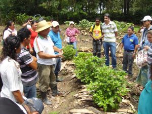 Imagem da notícia - Chamada pública incentiva atividades de pesquisa, educação e extensão em práticas agroecológicas e sistemas orgânicos de produção