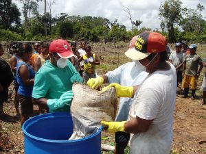 Imagem da notícia - Capacitação beneficia agricultores indígenas do Alto Rio Negro