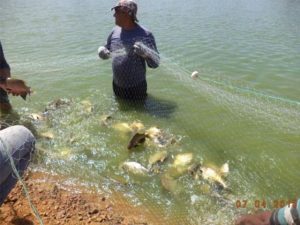 Imagem da notícia - Metodologias de ATER estimulam agricultores familiares ao aumento da produção
