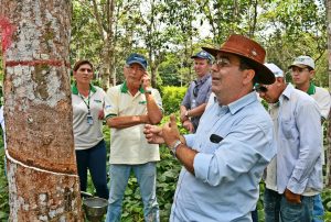 Imagem da notícia - Técnicos do AM são capacitados para aperfeiçoar planejamento de financiamento para setor rural