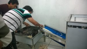 Imagem da notícia - Extensão rural busca alternativas para facilitar o processo de beneficiamento da mandioca