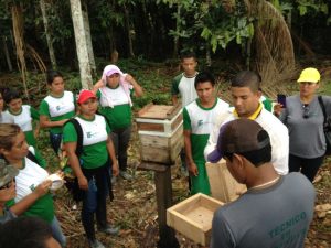 Imagem da notícia - IDAM e IFAM promovem capacitação em Tabatinga