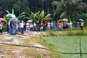 Imagem da notícia - Metodologia de Extensão Rural reúne produtores para estimular diversificação de atividades agropecuárias