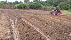 Imagem da notícia - Governo do Estado investe em cursos de mecanização agrícola no Amazonas