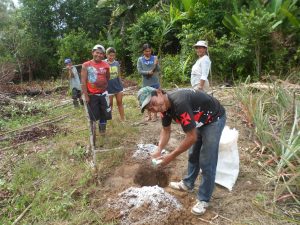 Imagem da notícia - Assistência técnica aproxima agricultores indígenas de práticas agroecológicas