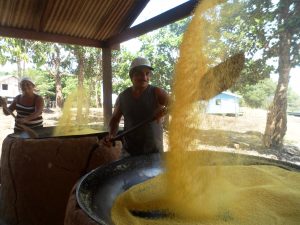 Imagem da notícia - Boas práticas de produção de farinha são incentivadas em comunidades indígenas de Barcelos