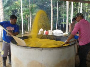 Imagem da notícia - VI Festa da farinha no município de Anamã