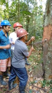 Imagem da notícia - Agricultores familiares são beneficiados com curso de Boas Práticas de Extração de Óleo de Copaíba em Beruri