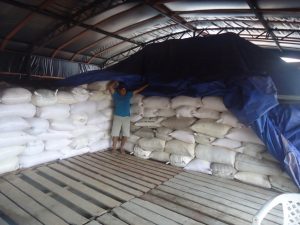 Imagem da notícia - Projetos incentivados pelo Governo do Amazonas fortalecem a cultura da mandioca em Eirunepé