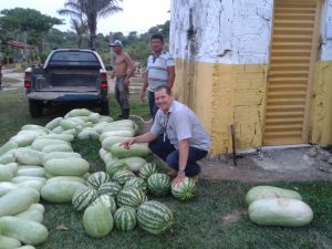Imagem da notícia - Produção  de melancia em terra firme anima agricultores familiares de Tefé