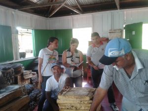 Imagem da notícia - Comercialização da borracha movimenta economia em Lábrea
