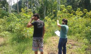 Imagem da notícia - Chamada Pública beneficiará mais de 3 mil agricultores familiares dos municípios do Amazonas