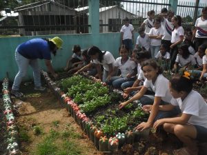 Imagem da notícia - IDAM realiza implantação de hortas nas escolas de Ipixuna