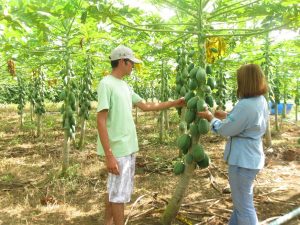 Imagem da notícia - Municípios do Amazonas participam de videoconferência sobre serviços de ATER
