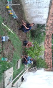 Imagem da notícia - Fonte Boa: Detentos aprendem práticas agrícolas para produzir seu próprio alimento