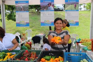 Imagem da notícia - Governo do Amazonas reinaugura escritório do IDAM em Iranduba na próxima segunda-feira (4)