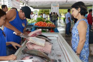 Imagem da notícia - Sepror oferta 500 toneladas de pescado em feira popular para o Feriado Santo
