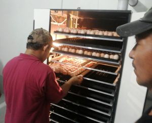 Imagem da notícia - Programa de avicultura vai fortalecer a produção de carne e ovos no Alto Solimões