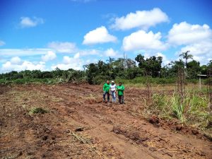 Imagem da notícia - Multiplicação de mudas e manivas pretende aumentar produção agrícola em Barcelos