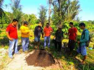 Imagem da notícia - Agricultores familiares são beneficiados com Demonstração de Método sobre tratos culturais no município de Urucará