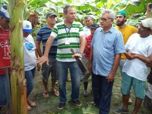 Imagem da notícia - Agricultores de Rio Preto da Eva participam de oficina sobre manejo agroecológico da cultura da banana