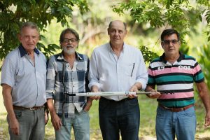 Imagem da notícia - Equipamento para desperfilhar bananeiras já pode ser encontrado no mercado