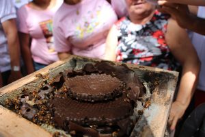 Imagem da notícia - IDAM incentiva a atividade de meliponicultura no município de Manacapuru