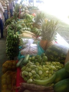 Imagem da notícia - Produtores de Rio Preto da Eva participaram de Workshop da Agricultura Familiar