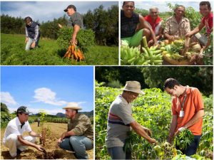 Imagem da notícia - Secretaria Especial da Agricultura Familiar e Desenvolvimento Agrário inicia pagamento dos contratos de Ater