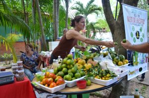 Imagem da notícia - Feira de Artesãs Itinerantes do Ipaam trará exposição e comercialização de produtos regionais e alimentos orgânicos